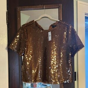Ann Taylor Shimmering Bronze Sequin Crop Top